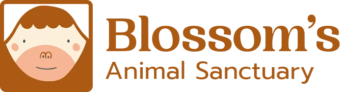 Blossom's Annual Sanctuary